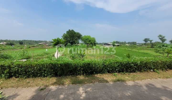 Tanah Luas dan Murah Dekat dengan Stadion Gelora Gajah Mada