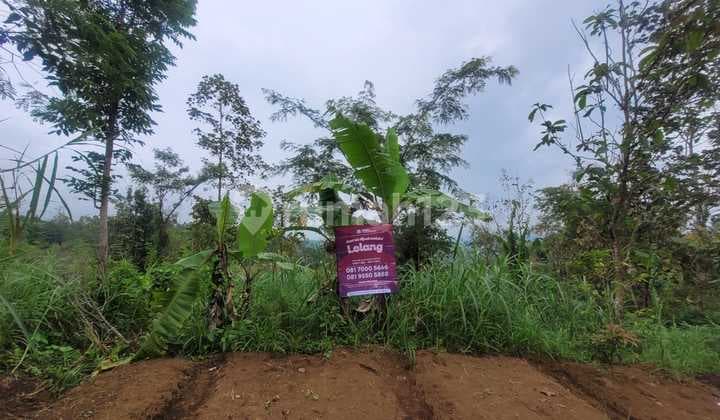 Tanah Luas dan Murah di Kawasan Junrejo dekat dengan Tempat Wisata