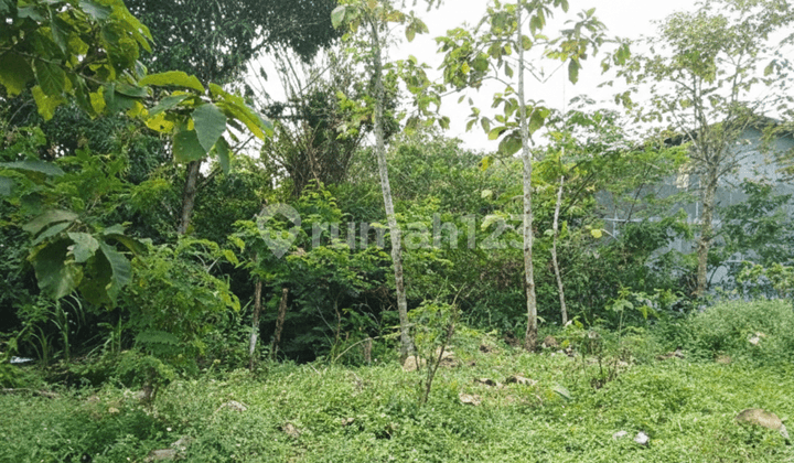 Tanah Luas dan Murah dekat dengan Jalan Raya Magelang-Yogyakarta