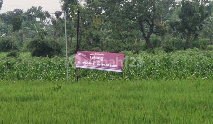 Tanah Strategis dan Murah Dekat dengan Kampus C - Iik Nu Tuban