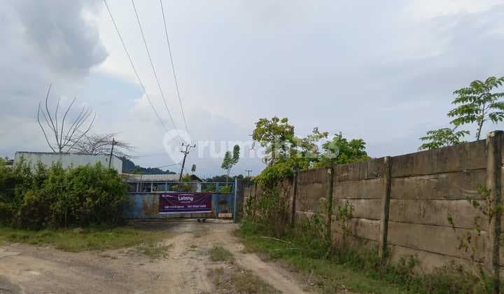 Tanah Luas dan Strategis di Kawasan Pesawaran, Lampung Dekat dengan Jalan Raya Dirt Road