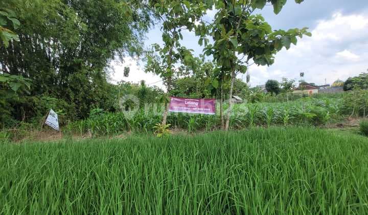 Tanah Strategis dan Murah Dekat dengan Air Terjun Nglirip