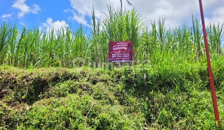 Tanah Luas dan Strategis di Kawasan Tumpang, Malang Dekat dengan Bromo Transit Park Tumpang