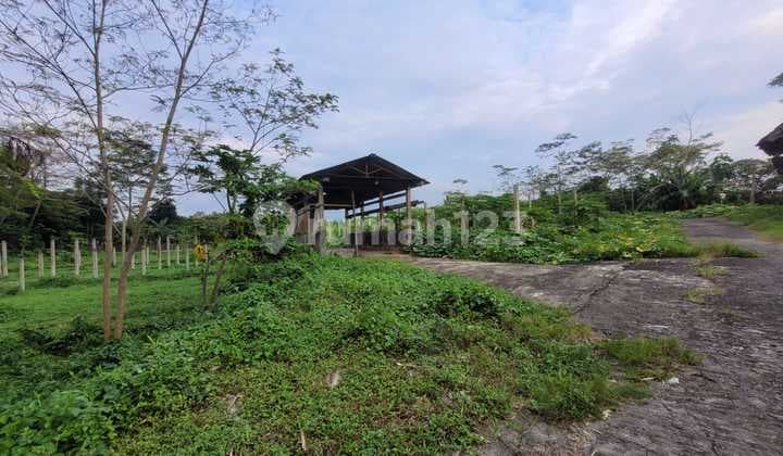 Tanah Luas dan Murah di Kawasan Sudimoro, Magelang dekat dengan Jalan Raya Magelang-Yogyakarta