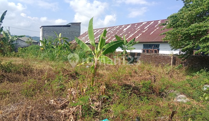 Large and Affordable Land in the Batui Area, Banggai, Near Batui Market