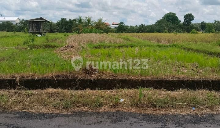 Tanah Pinggir Jalan Mengwi