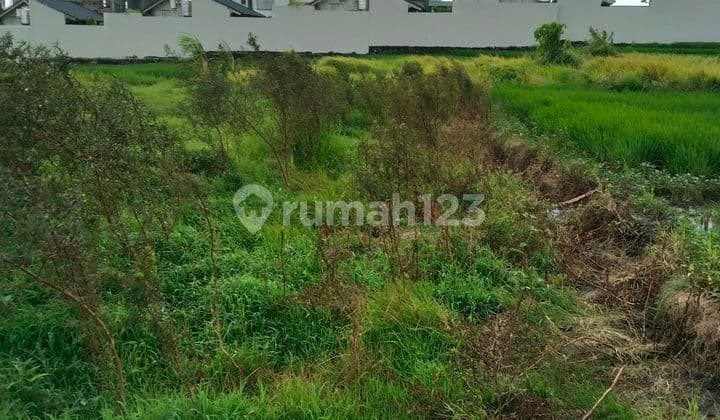 Tanah Premium Villa Siap Bangun Pantai Seseh