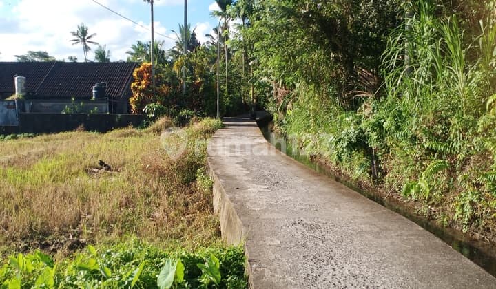 Tanah Sawah View Cantik Dan Asri Di Mengwi