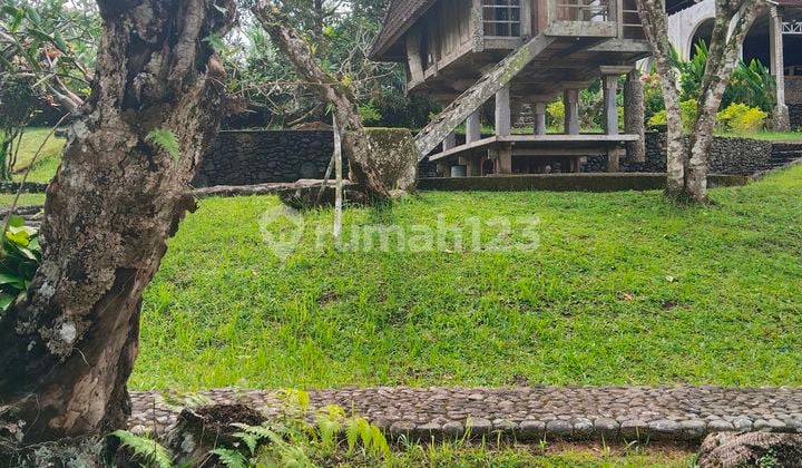 Rumah Villa View Sungai Penatahan Tabanan Bali SHM Rumah di Kantor Desa Penatahan, Penebel,Tabanan,Bali, Tabanan, Penebel, Penatahan, Bali, 82152, Penatahan