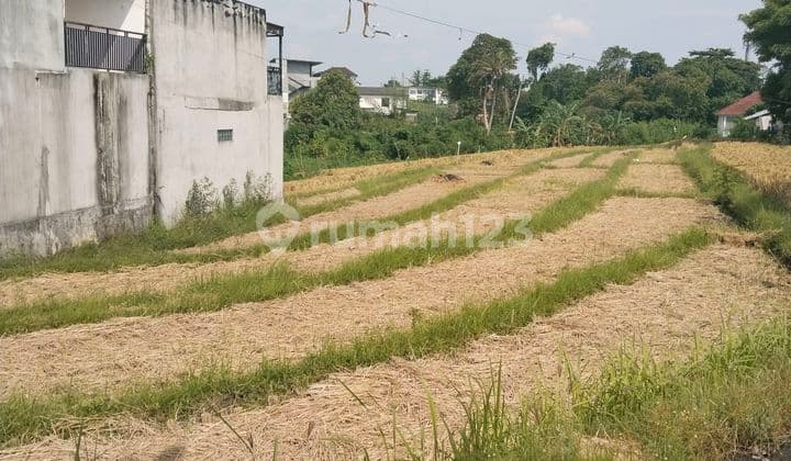 Tanah Sawah Pererenan