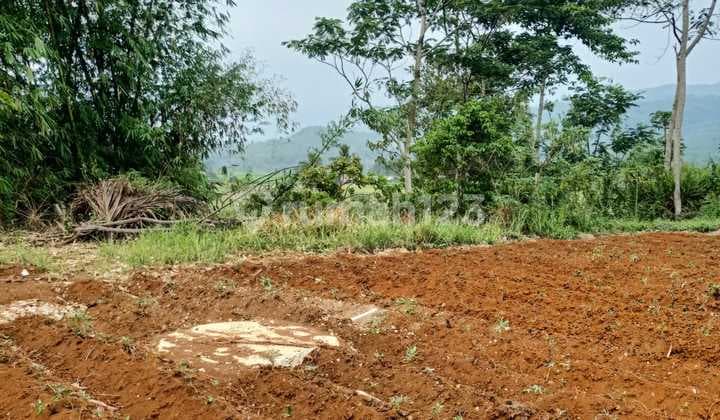 Dijual Bu Tanah Kebun 3300 M2 Lokasi di Desa Cimenteng, Cianjur