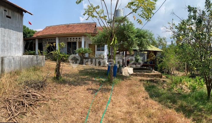 Plantation Land 1.2 Km From Seririt Beach, Buleleng