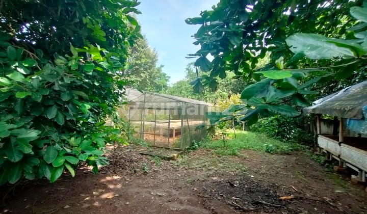 Tanah Strategis Area Serpong Hanya 3,6 Jt-an Per M