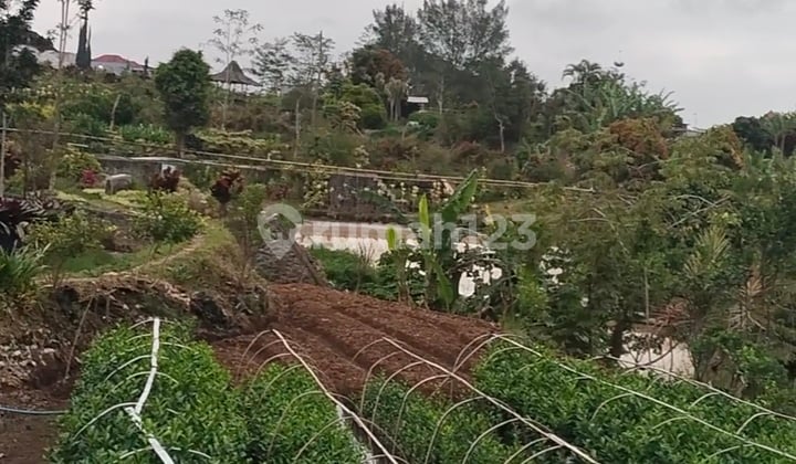 Dijual Kebun Buah dan Sayur Kota Batu