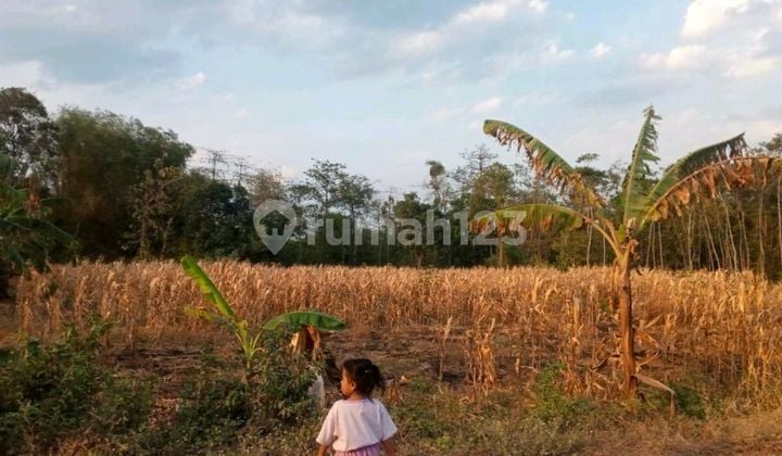 Dijual Tanah Murah Daerah Kedemungan