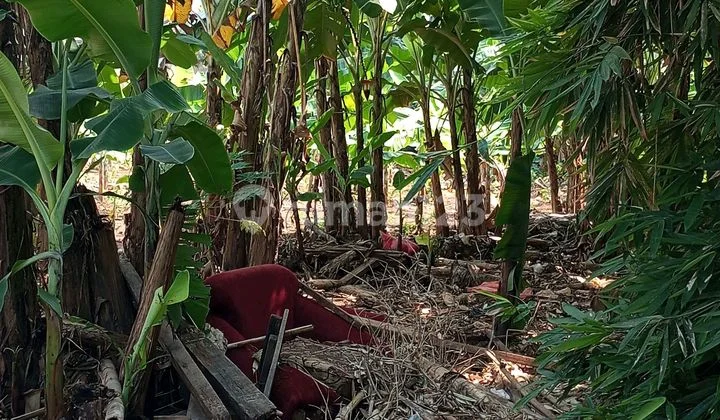 Dijual Tanah Cempaka Putih Jakarta Pusat Dijual Tanah Cempaka Putih Jakarta Pusat