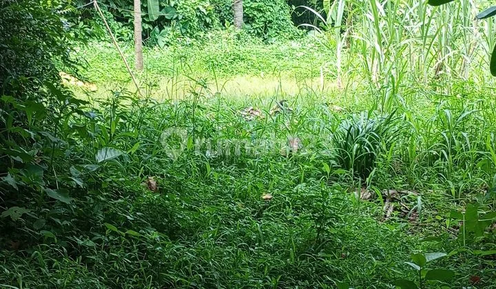 Land for Sale in Setu, Cipayung, East Jakarta Land for Sale in Setu, Cipayung, East Jakarta