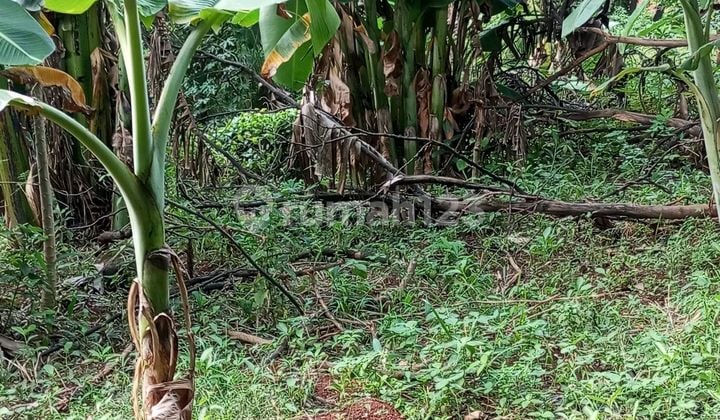 Dijual Tanah Ceger Bambu Apus Cipayung Jakarta Timur