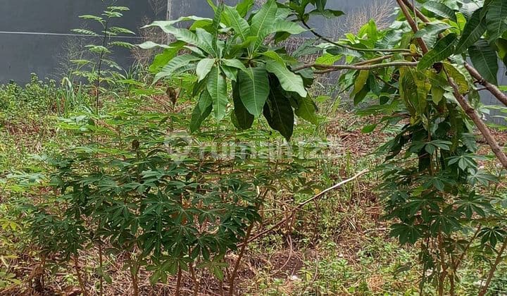 Land for Sale in Ragunan, South Jakarta, Freehold Title