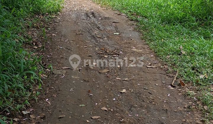 Disewakan Tanah Menteng Jakarta Pusat