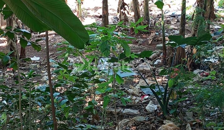 Dijual Tanah Bambu Apus Jakarta Timur