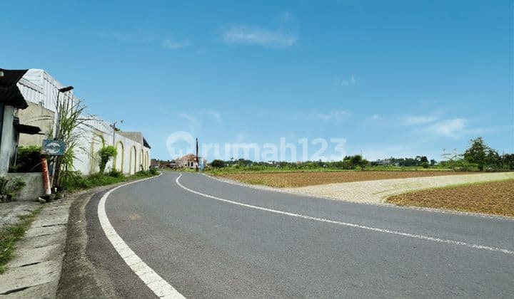 Tanah Murah Jogja, Tepi Jalan Raya, Sertifikat SHM Pekarangan