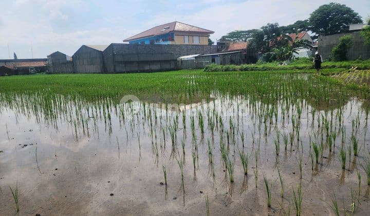 Dijual Tanah Dijalan Propinsi