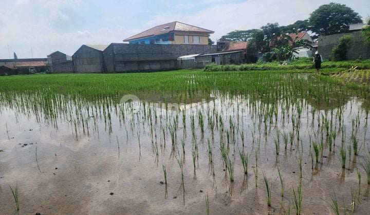 Dijual Tanah Dijalan Propinsi