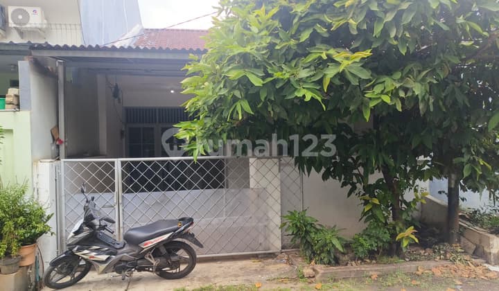 Rumah Murah Sederhana Sunter Danau Indah 6x14m