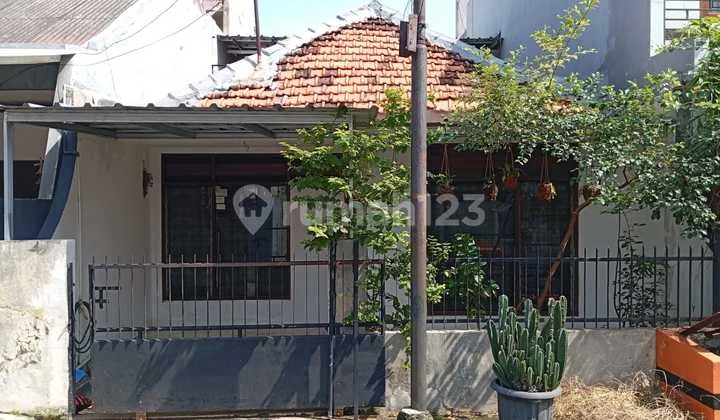 Rumah SHM Nyaman Lokasi Strategis di Kayu Putih, Pulo Gadung, Jakarta Timur Rumah SHM Nyaman Lokasi Strategis di Kayu Putih, Pulo Gadung, Jakarta Timur