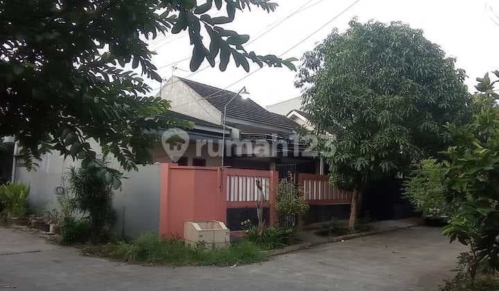 Disewakan Rumah Hook Nyaman Strategis