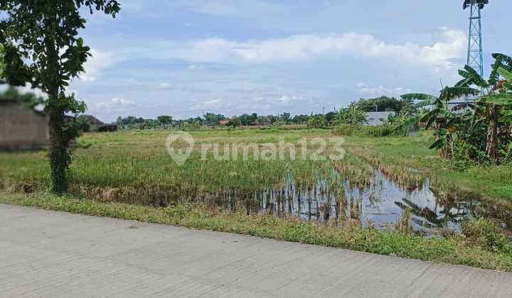 Tanah SHM Ngemplak, Boyolali 979 m2