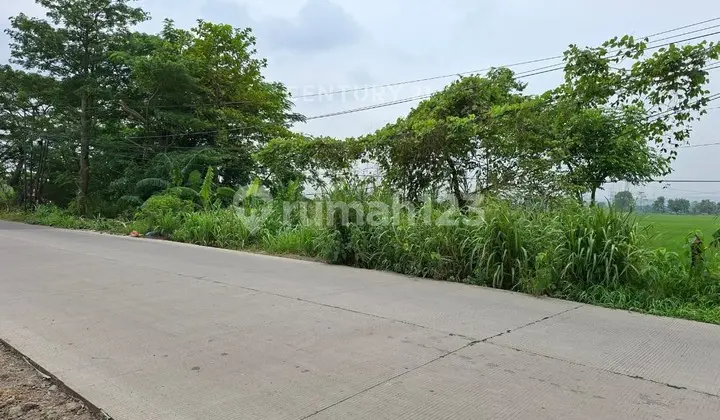 Strategic Land Location on Jl Karangwangi Cirebon