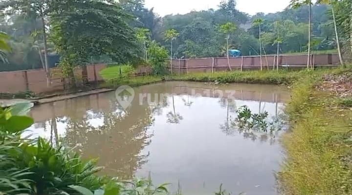 Tanah Sawah di Sedong Lor Kabupaten Cirebon