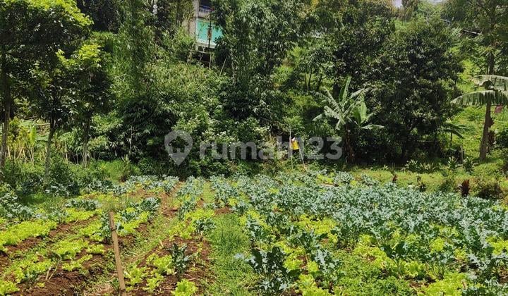 Land for Sale with SHM Certificate Suitable for Investment and Villa Construction in Lembang. First Come, First Served.
