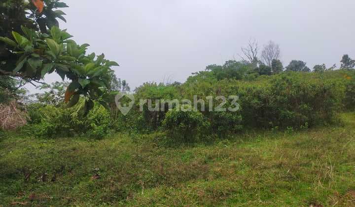 Tanah Murah 9,1 Hektar di Cariu Bogor Dekat Jalan Transyogi