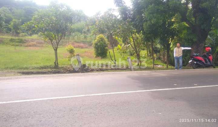Tanah Murah Pinggir Jln Transyogi Tanjungsari Kab Bogor