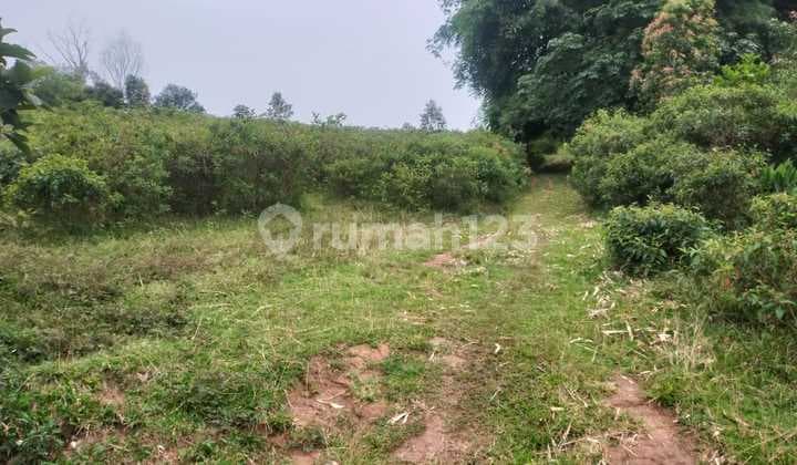 Tanah Murah 9,1 Hektar di Cariu Bogor Dekat Jalan Transyogi