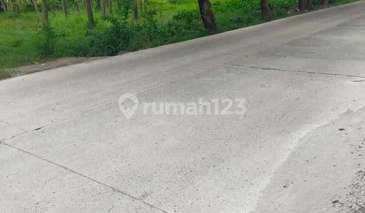 Tanah Zona Kuning bisa Kerjasama 8,6 Hektar di Cikarang Pusat