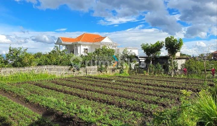 Dijual Tanah Kavling Siap Bangun di Area Jalan Buah-Buahan, Bumiaji Batu ✨