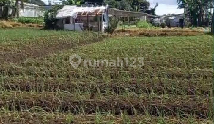 Tanah Kavling Dekat Santo Yusup Sindanglaya, Cipanas.