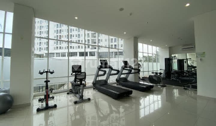 Serpong Garden Apartment, Type Studio Tower Bellarosa.