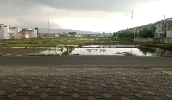 Rumah Keluarga Idaman Murah, Asri dan Tenang, Kota Malang