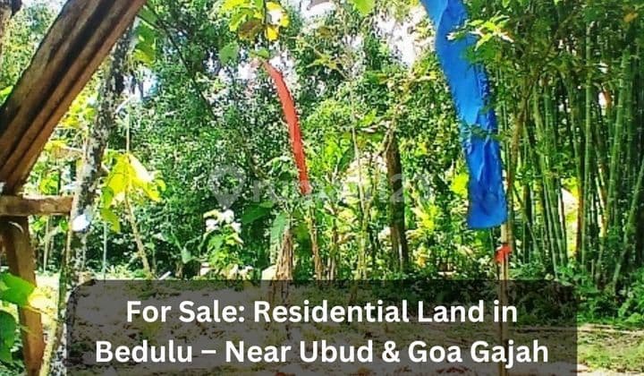 Dijual Cepat Tanah SHM 27 Are di Bedulu - Dekat Ubud & Goa Gajah