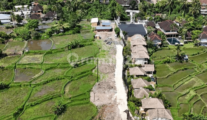 Strategic Land in Ubud - Tourism Zone (Pink Zone)