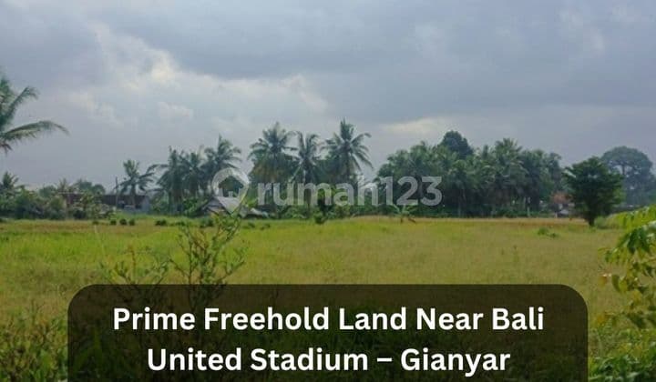 Dijual Tanah SHM 16,2 Are Dekat Stadion Bali United - Gianyar