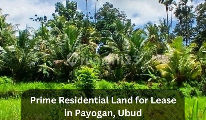 Tanah dengan Pemandangan Sawah Utama Dijual di Payangan - Zona Perumahan Tenang Dekat Ubud