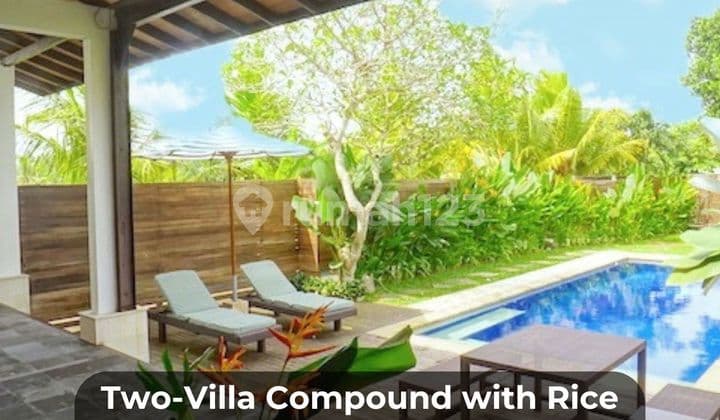 Two-Villa Compound With Rice Field Views Near Central Ubud