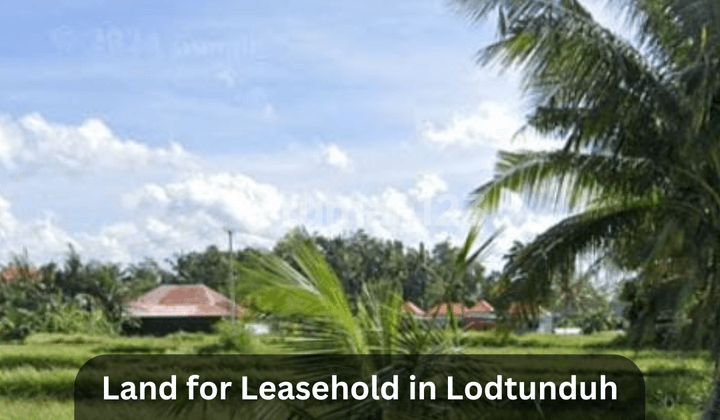 Disewakan Tanah 35 Are View Sawah di Lodtunduh - Ubud