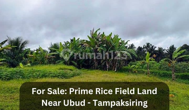 Tanah SHM 30 Are View Sawah Dekat Maya Ubud Resort - Bali